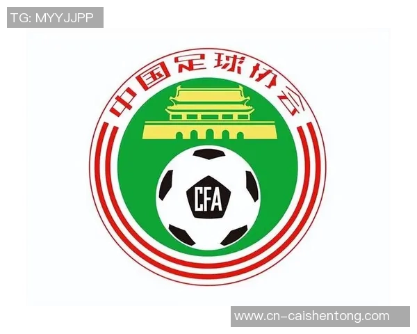 中国足球队队徽的设计理念与文化象征探讨